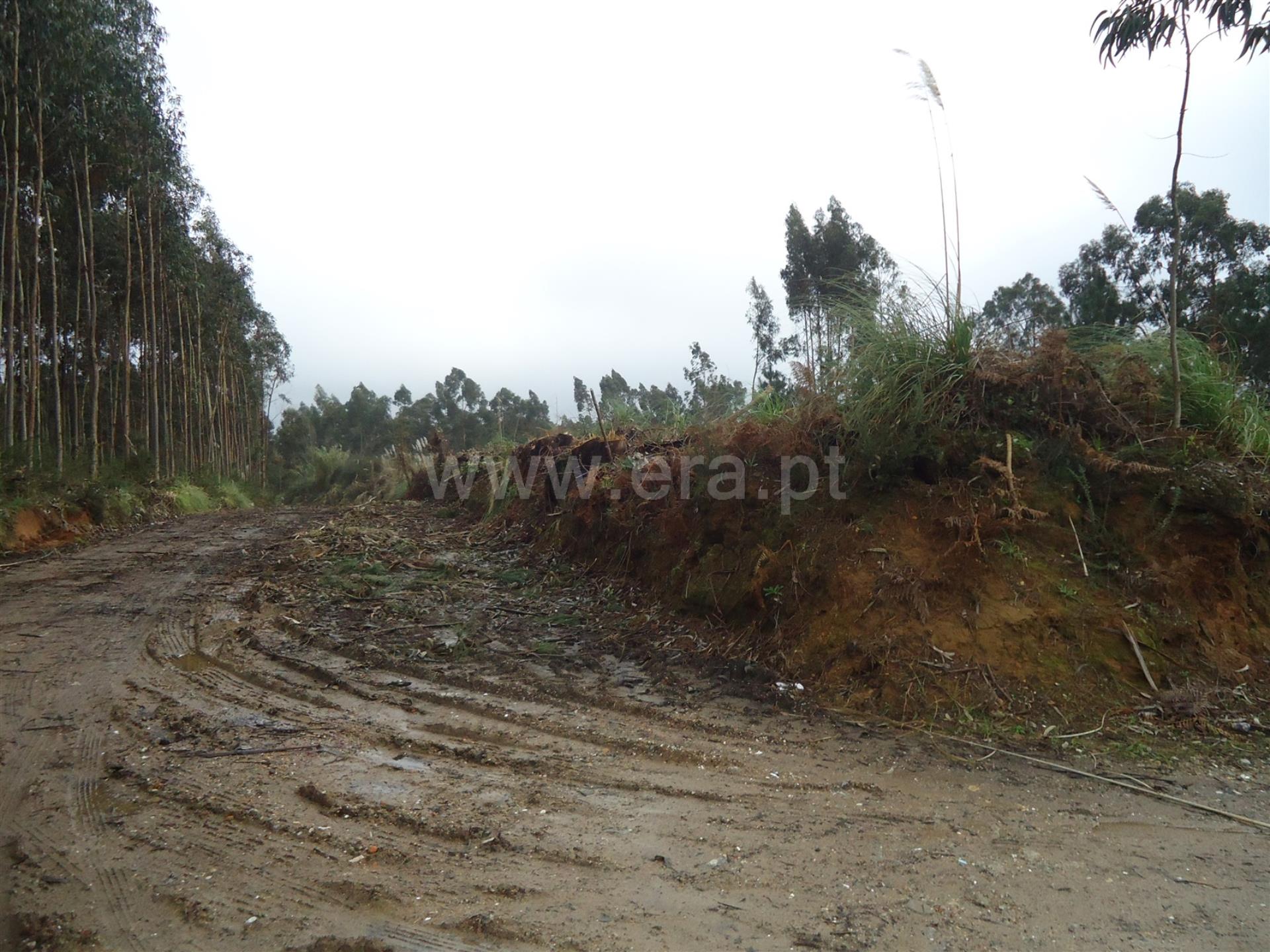 Land for sale in Vila Nova de Gaia, Portugal — €250,000