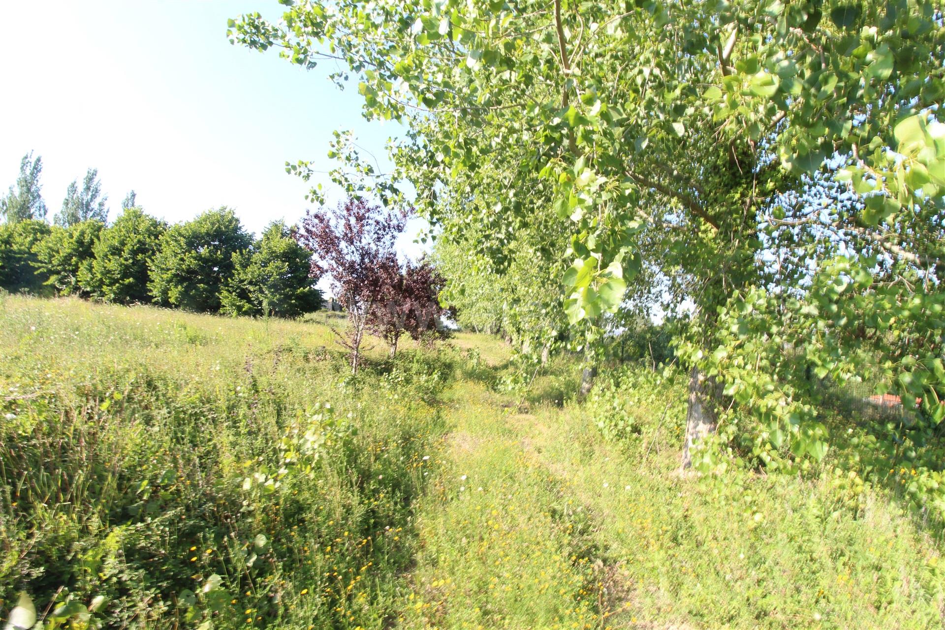 Land for sale in Vila Nova de Gaia, Portugal — €1,200,000