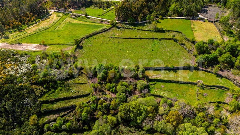 Terreno / Vila Nova de Paiva, Pendilhe