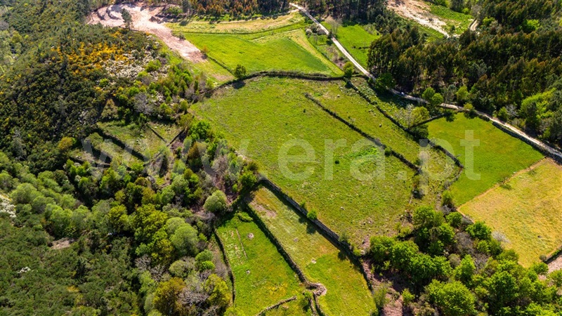 Terreno  Vila Nova de Paiva, Pendilhe - 1448390 - 4