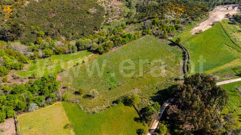 Terreno  Vila Nova de Paiva, Pendilhe - 1448390 - 5