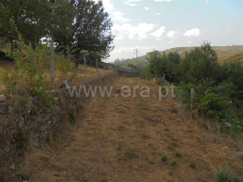 Terreno  Vila Nova de Paiva, Vila Nova de Paiva - 841857 - 6