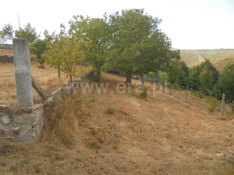 Terreno  Vila Nova de Paiva, Vila Nova de Paiva - 841857 - 7