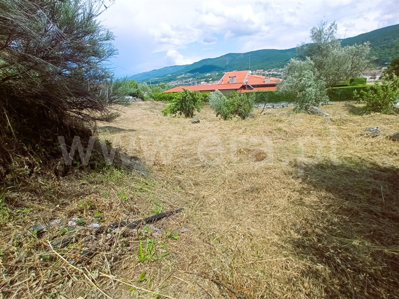 Azenha  Vila Pouca de Aguiar, Bornes de Aguiar - 1343587 - 1