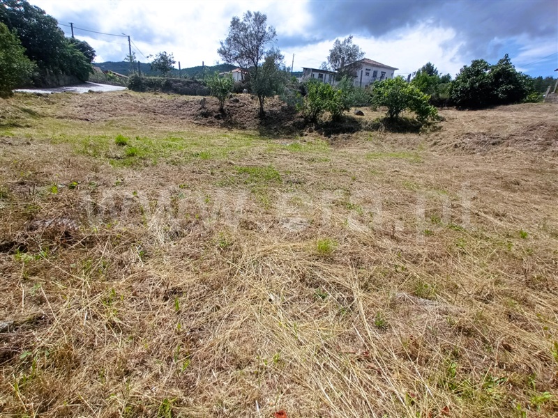 Azenha  Vila Pouca de Aguiar, Bornes de Aguiar - 1343587 - 5