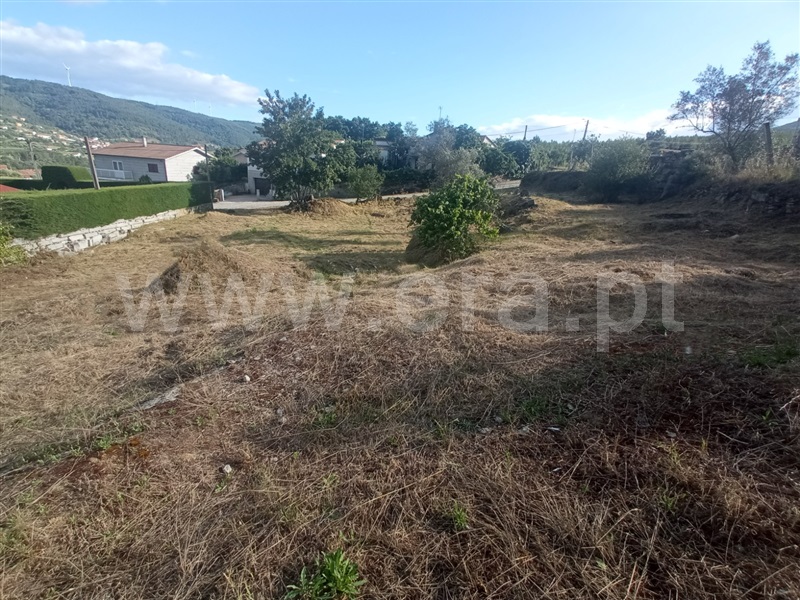 Azenha  Vila Pouca de Aguiar, Bornes de Aguiar - 1343587 - 6