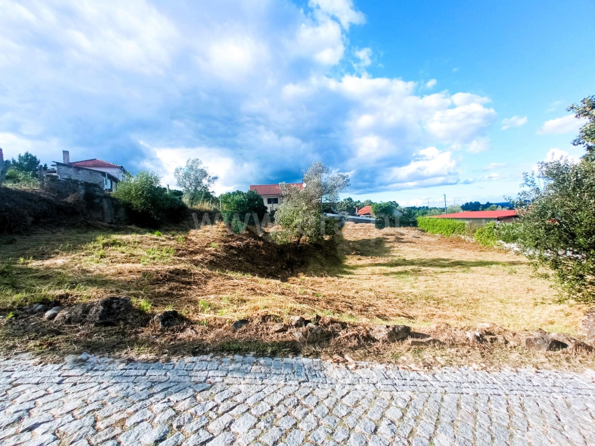 Terreno em Vila Pouca de Aguiar