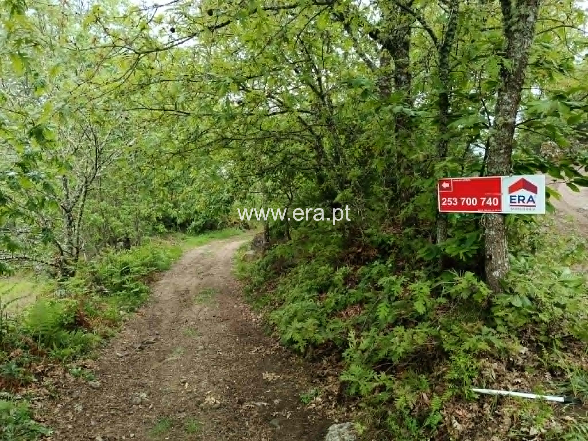Terreno / Vila Pouca de Aguiar, Vila Real