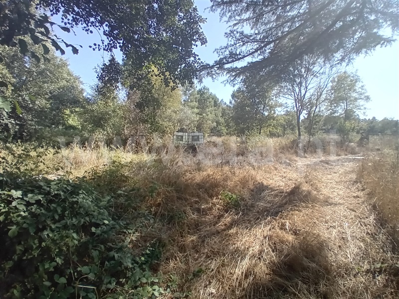 Terreno / Vila Pouca de Aguiar, Vreia de Bornes