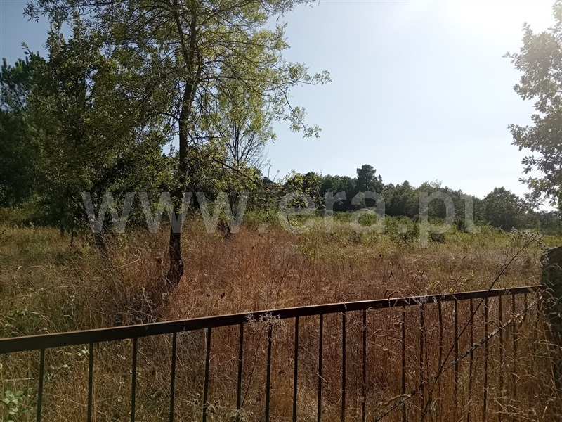 Terreno  Vila Pouca de Aguiar, Vreia de Bornes - 1427391 - 2