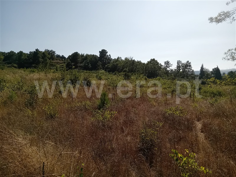 Terreno  Vila Pouca de Aguiar, Vreia de Bornes - 1427391 - 4