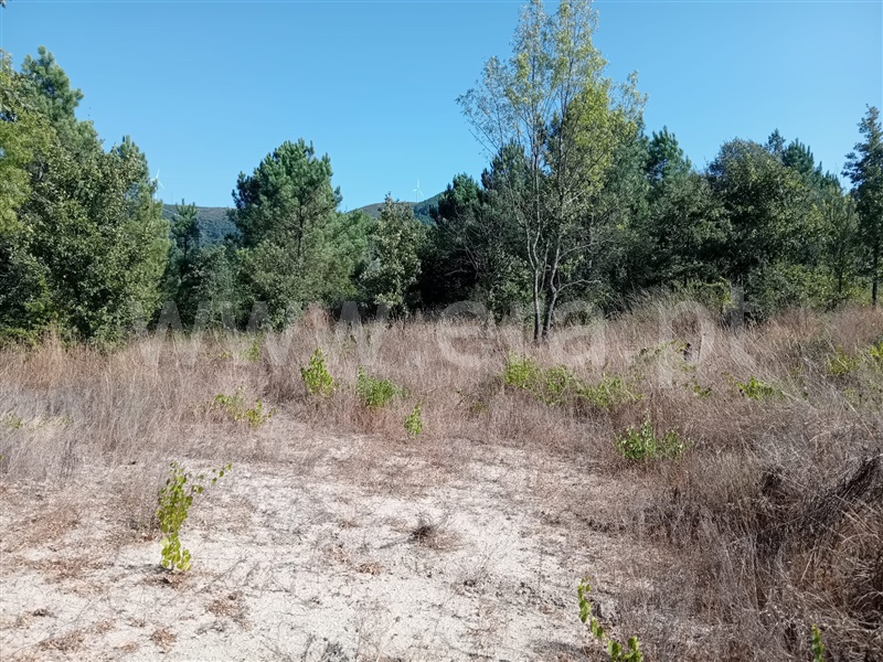 Terreno  Vila Pouca de Aguiar, Vreia de Bornes - 1427391 - 5