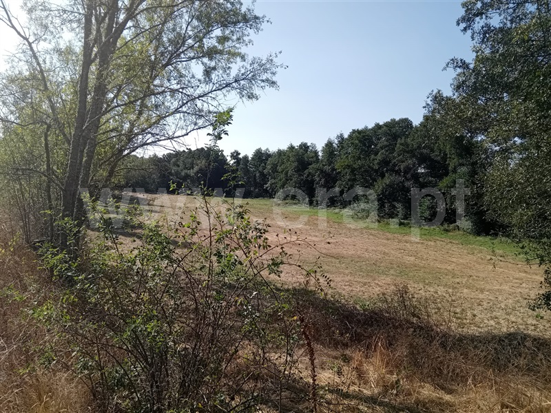 Terreno  Vila Pouca de Aguiar, Vreia de Bornes - 1427391 - 6