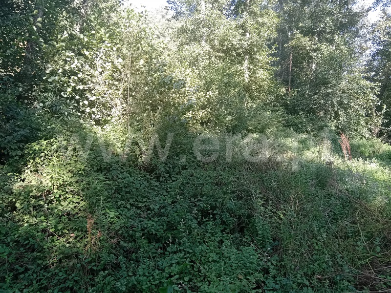 Terreno  Vila Pouca de Aguiar, Vreia de Bornes - 1427391 - 8