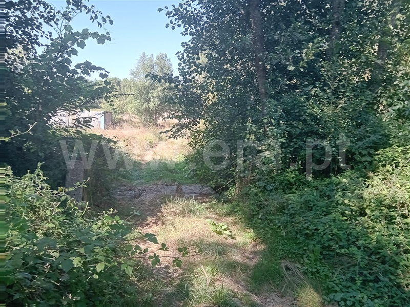 Terreno  Vila Pouca de Aguiar, Vreia de Bornes - 1427391 - 10