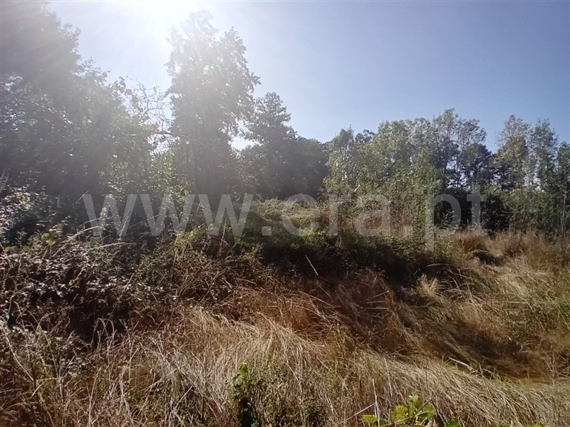 Terreno  Vila Pouca de Aguiar, Vreia de Bornes - 1427391 - 12