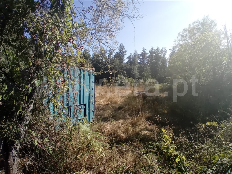 Terreno  Vila Pouca de Aguiar, Vreia de Bornes - 1427391 - 13