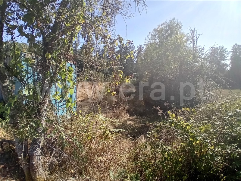 Terreno  Vila Pouca de Aguiar, Vreia de Bornes - 1427391 - 15