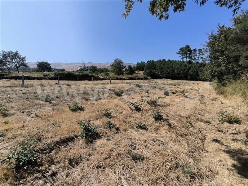 Terreno / Vila Real, Adoufe e Vilarinho de Samardã