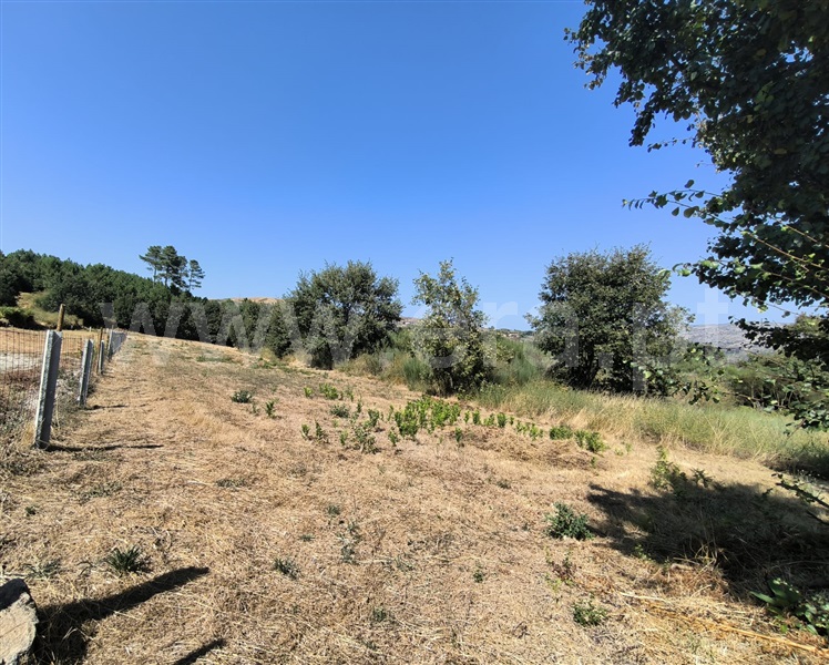 Terreno  Vila Real, Adoufe e Vilarinho de Samardã - 1347771 - 2