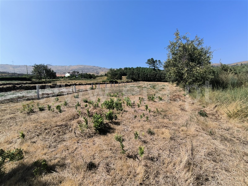 Terreno  Vila Real, Adoufe e Vilarinho de Samardã - 1347771 - 4