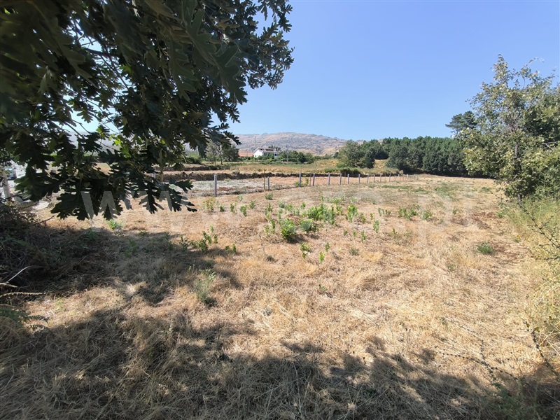 Terreno  Vila Real, Adoufe e Vilarinho de Samardã - 1347771 - 5