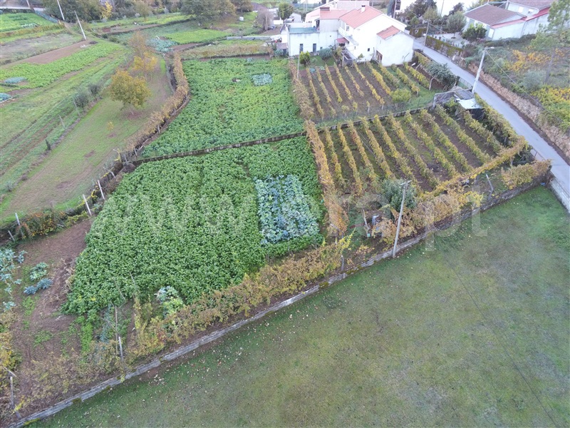 Terreno / Vila Real, Constantim e Vale de Nogueiras