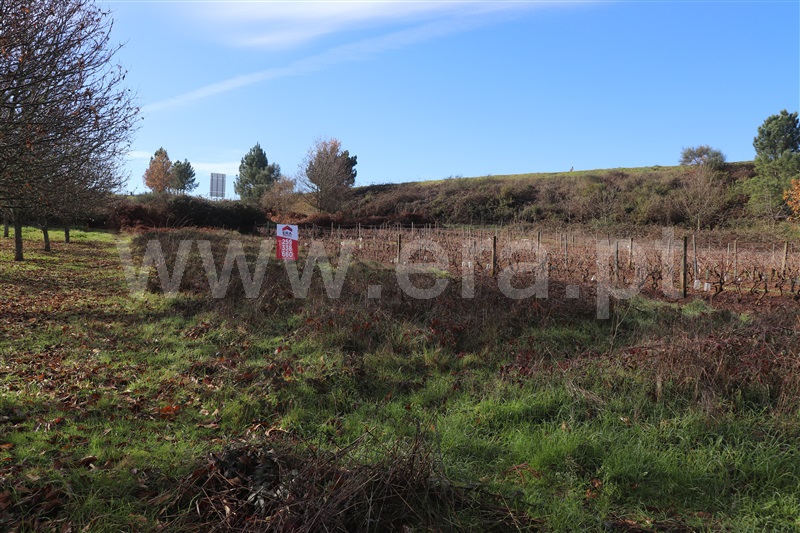 Terreno / Vila Real, Constantim e Vale de Nogueiras