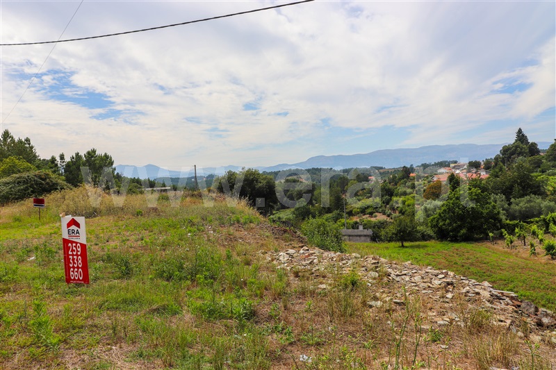 Terreno / Vila Real, Folhadela