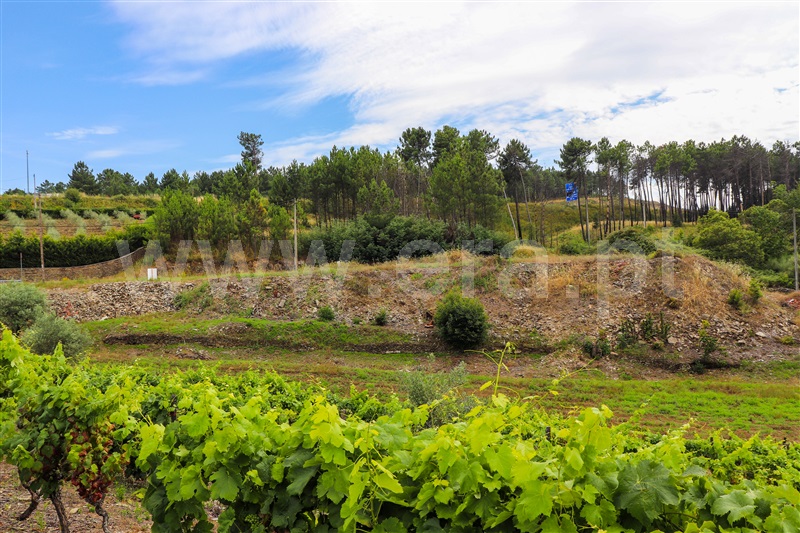 Terreno  Vila Real, Folhadela - 1021034 - 6