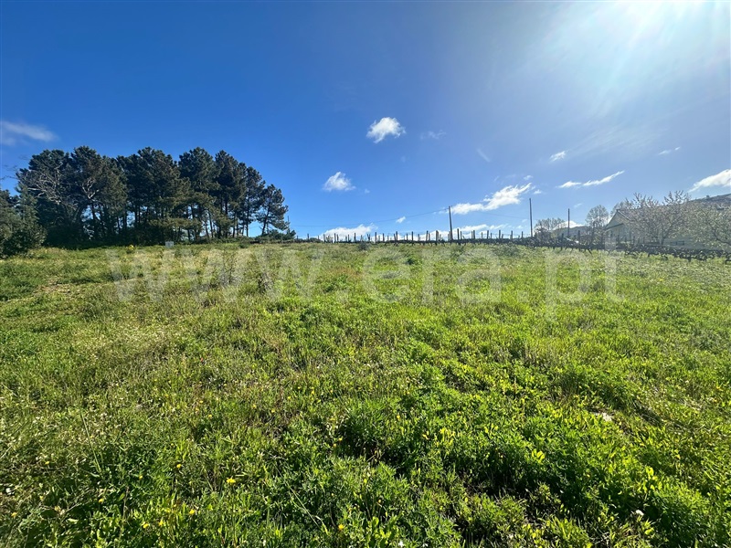 Terreno  Vila Real, Folhadela - 1398256 - 2