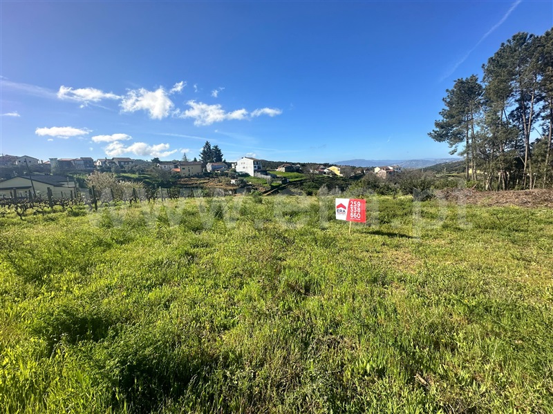 Terreno / Vila Real, Folhadela