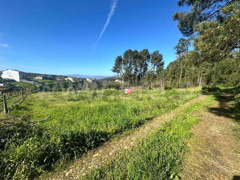 Terreno  Vila Real, Folhadela - 1398256 - 6