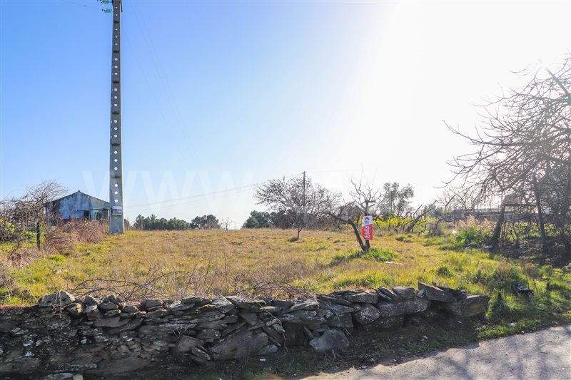 Terreno / Vila Real, Folhadela