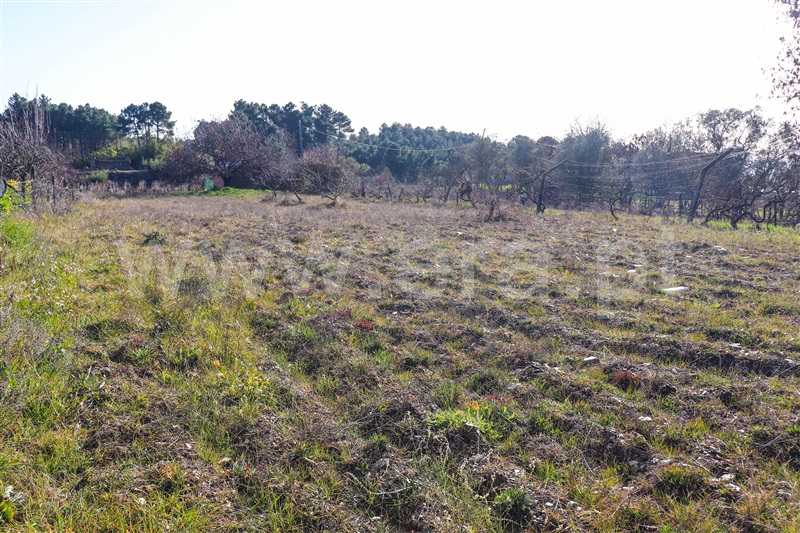 Terreno  Vila Real, Folhadela - 777310 - 6