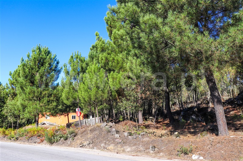 Terreno / Vila Real, Mouçós e Lamares