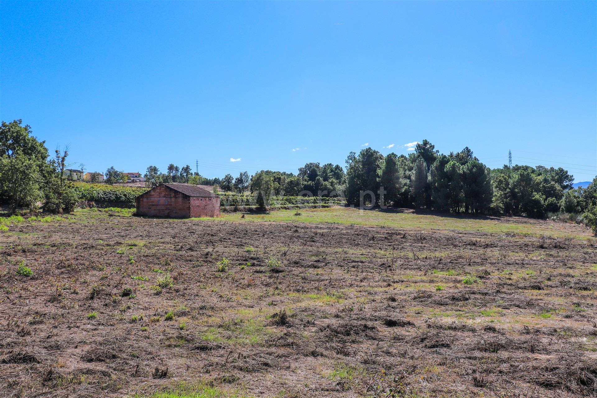 Land for sale in Vila Real, Portugal — €150,000