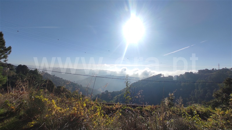 Terreno  Vila Real, Parada de Cunhos - 775289 - 7