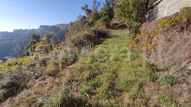 Terreno  Vila Real, Parada de Cunhos - 775289 - 8