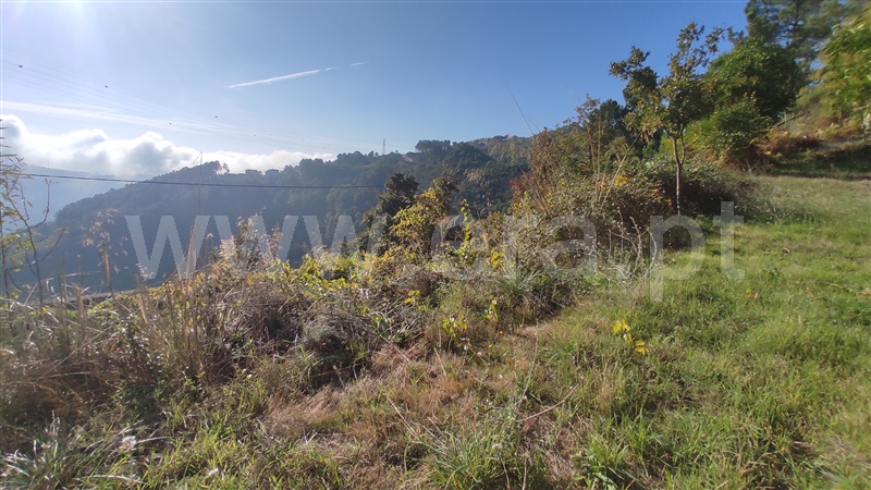Terreno  Vila Real, Parada de Cunhos - 775289 - 9