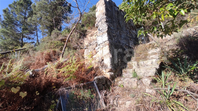 Terreno  Vila Real, Parada de Cunhos - 775289 - 10