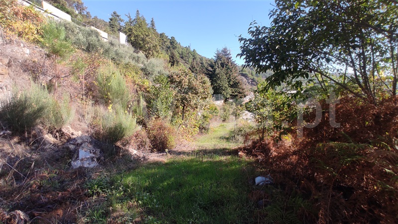 Terreno  Vila Real, Parada de Cunhos - 775289 - 11