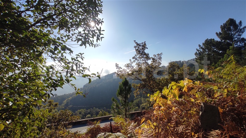 Terreno  Vila Real, Parada de Cunhos - 775289 - 13