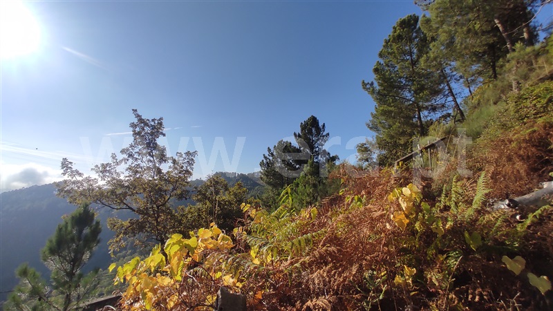 Terreno  Vila Real, Parada de Cunhos - 775289 - 14