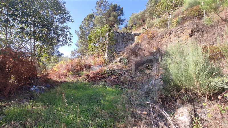 Terreno  Vila Real, Parada de Cunhos - 775289 - 15