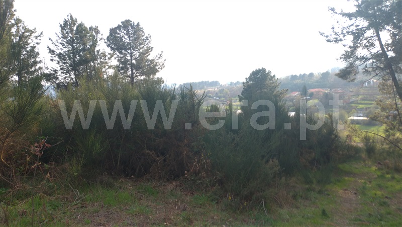 Terreno  Vila Real, Vila Marim - 1086252 - 6