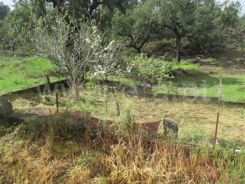 Terreno  Vila Velha de Rodão, Fratel - 823656 - 2
