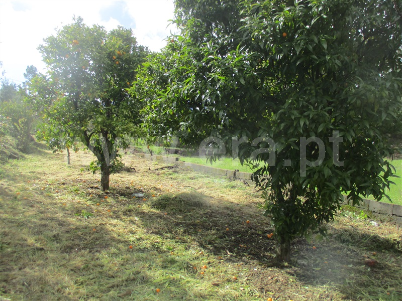 Terreno  Vila Velha de Rodão, Fratel - 823656 - 5