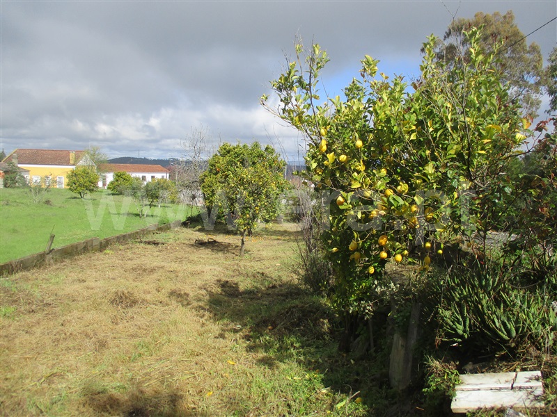 Terreno / Vila Velha de Rodão, Fratel