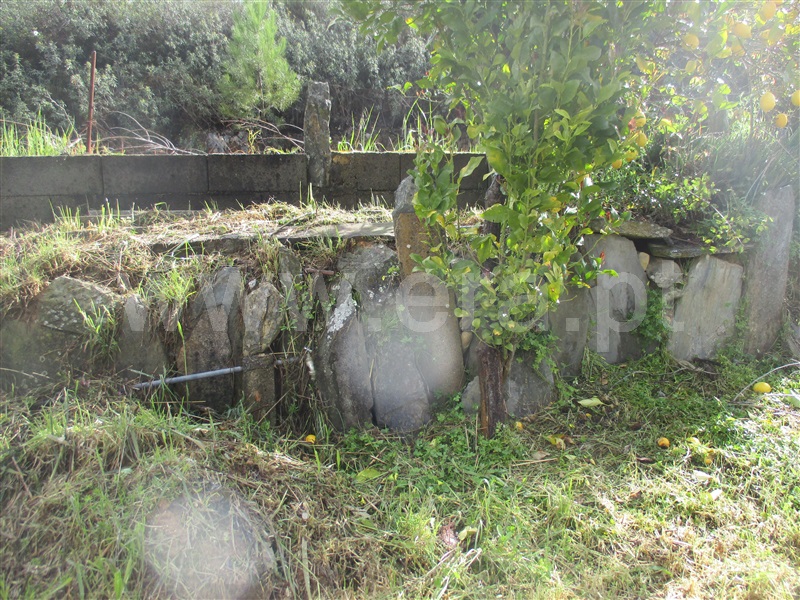 Terreno  Vila Velha de Rodão, Fratel - 823656 - 9